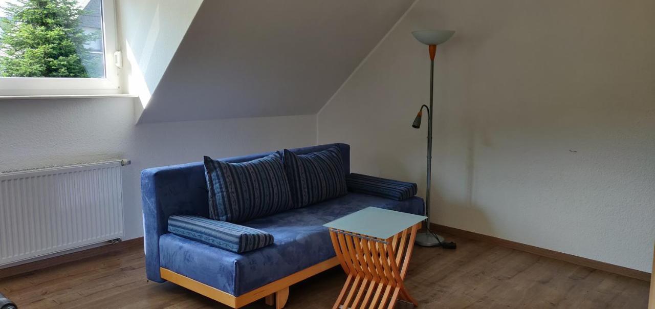 Ferienhaus Schulte - Villa Jupp Und Apartment Liesl Olsberg Exteriér fotografie